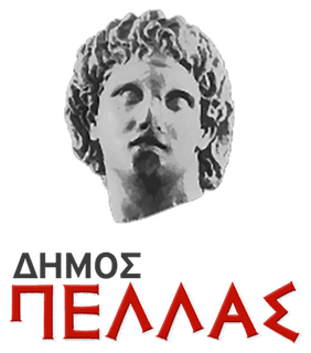 Δήμος Πέλλας